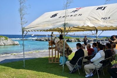 喜界島は海開き そして海の中はカメparadise 喜界島ファームステイプロジェクト